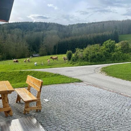 Ferienwohnung ,Hoizmann` Pinsdorf Exterior foto