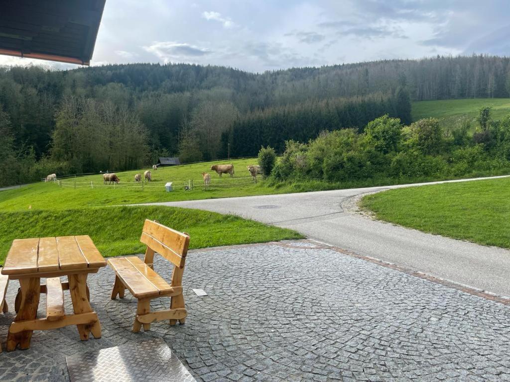 Ferienwohnung ,Hoizmann` Pinsdorf Exterior foto